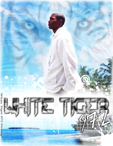 SteeVe Ft White Tiger 